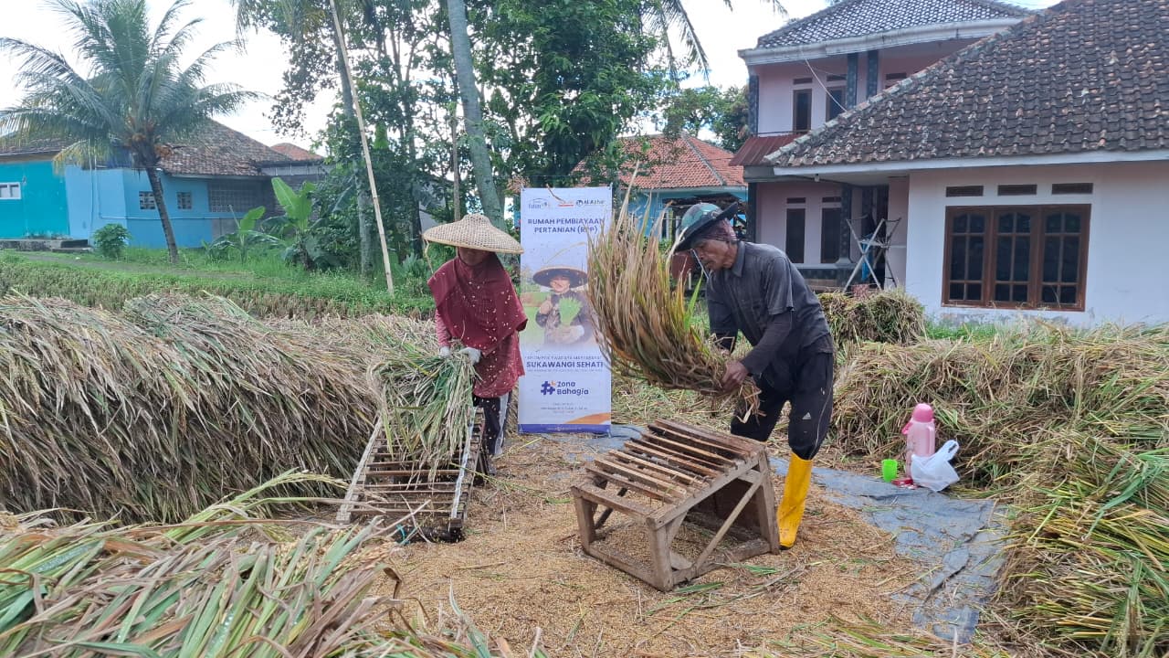 Udan Buldani: Dedikasi Petani dan Pengabdian Tanpa Batas